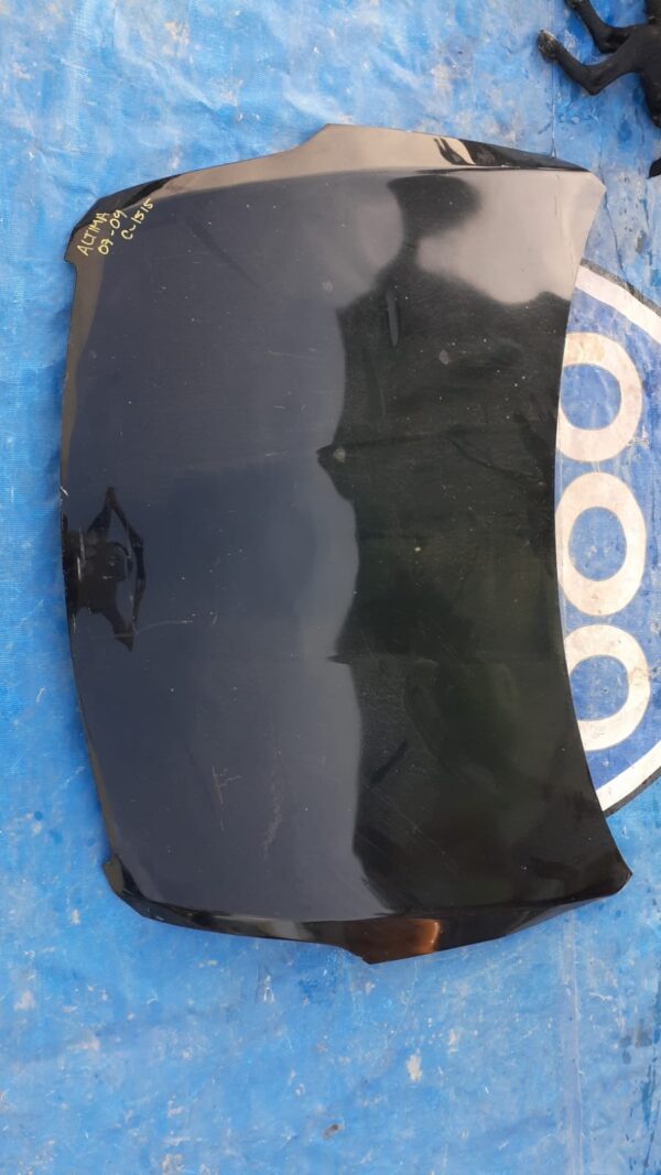Altima 2007-2009 C-1515 Cofre