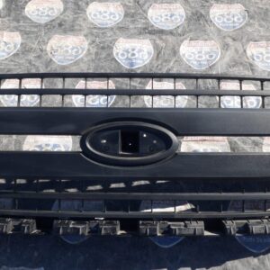F-150 18-20 B-5544 parrilla (Bodega)
