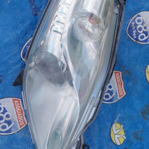 Foco Leaf 10-12 -R- B-7064 (Rack D-1)