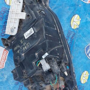 Foco Leaf 10-12 -R- B-7064 (Rack D-1)