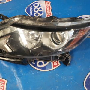 Rogue 18-19L 686686 FOCO RACK D-1 BODEGA