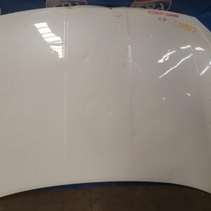 cofre Hyunday elantra 19-20 c20887 (Bodega)