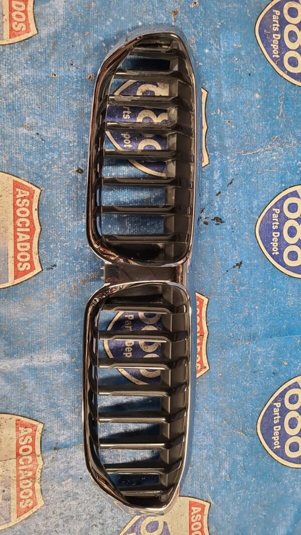 Parrilla Bmw serie 3 19-21 019652 (bodega)