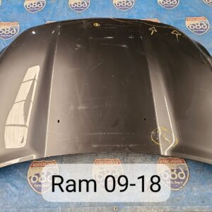 cofre ram 2009-18 019413 (bodega)