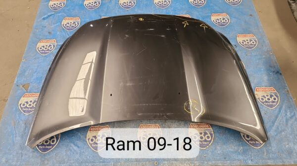 cofre ram 2009-18 019413 (bodega)