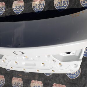 Optima 16-17 B-2011 Cajuela